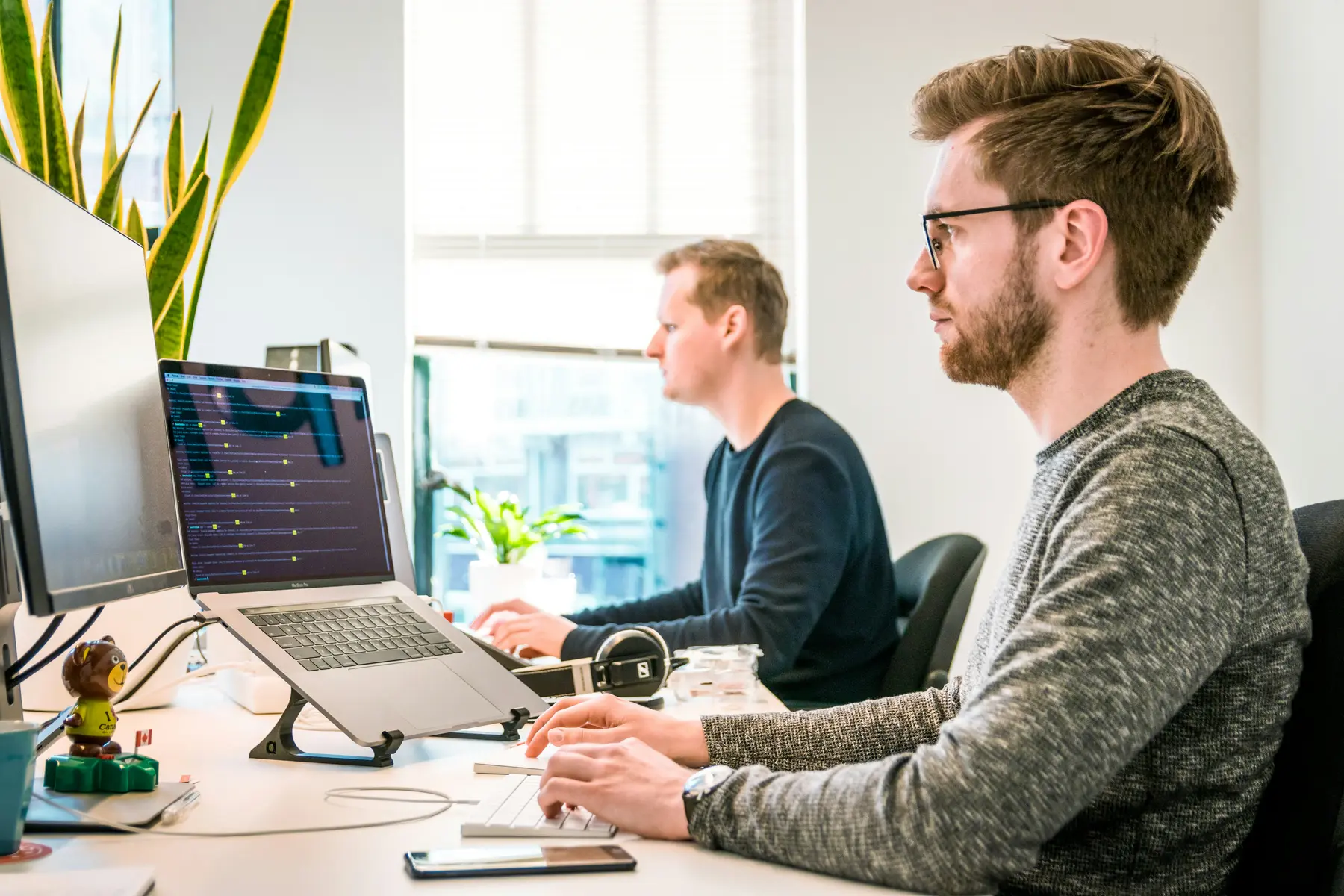 Two colleagues coding side by side at their monitors, beside a window with plants.